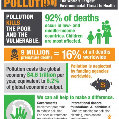 Global alliance on health and pollution 